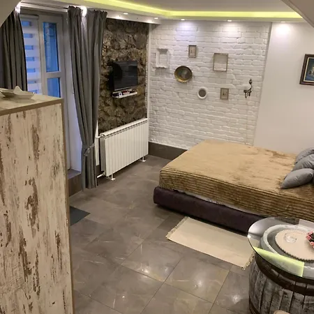 Apartman Nina Banovo Brdo Belgrad Exterior foto